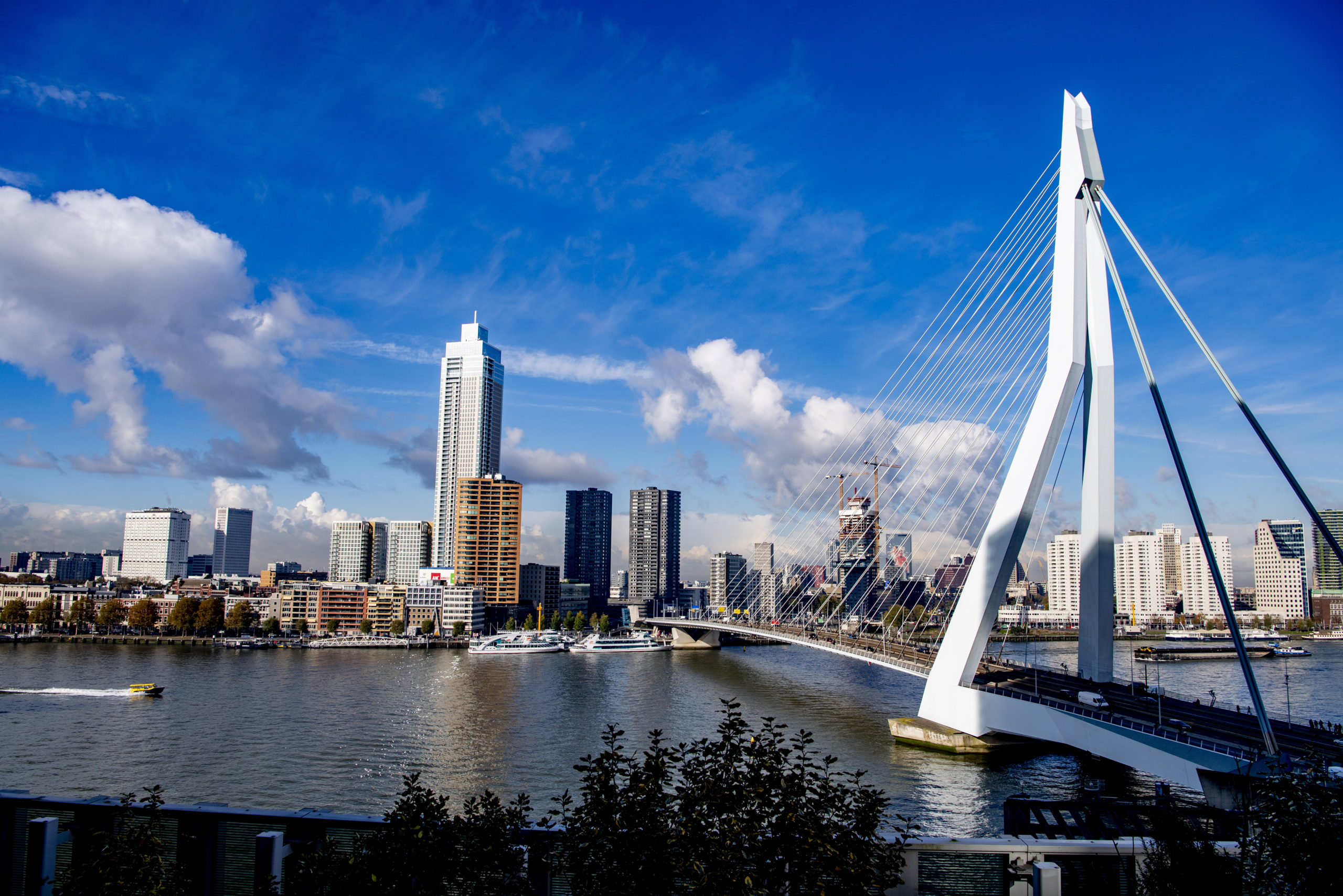 Rotterdam skyline met Erasmusbrug